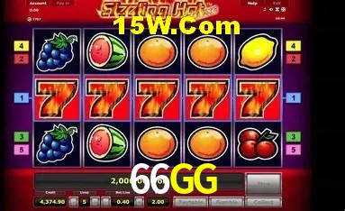 66GG Salvador - Statistics